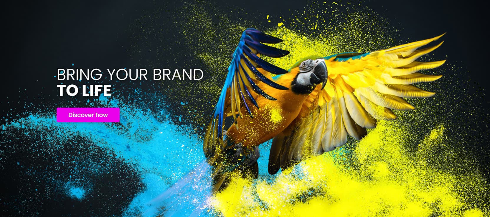 Apogee Graphics Creative Graphic Design and Printing Services